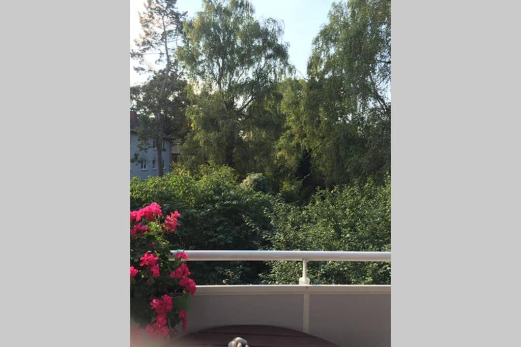 Bahnhofsnahe, Ruhige Und Sonnige 2 Zimmerwohnung Im Dichterviertel วิสบาเดน ภายนอก รูปภาพ